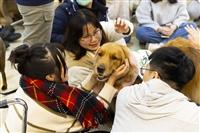 動物輔助治療系列式體驗活動