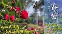 春日春夜春花開 春風春雨春無相 賽博頻道伴你體會春分的多重春色