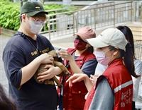 淡江動物週X浪浪認養會