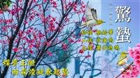 春雷一響驚蟄臨 春雨遍灑陌色新 賽博伴你共賞春之饗宴