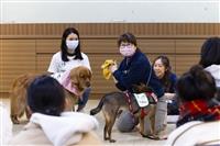 動物輔助治療系列式體驗活動