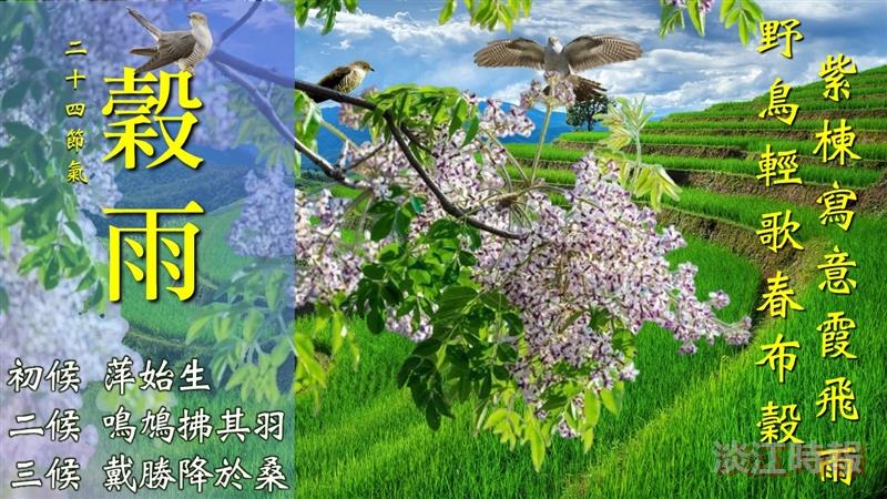 霖沃禾下土 滴滴潤秋粟 賽博帶你偷一晌縠雨農忙