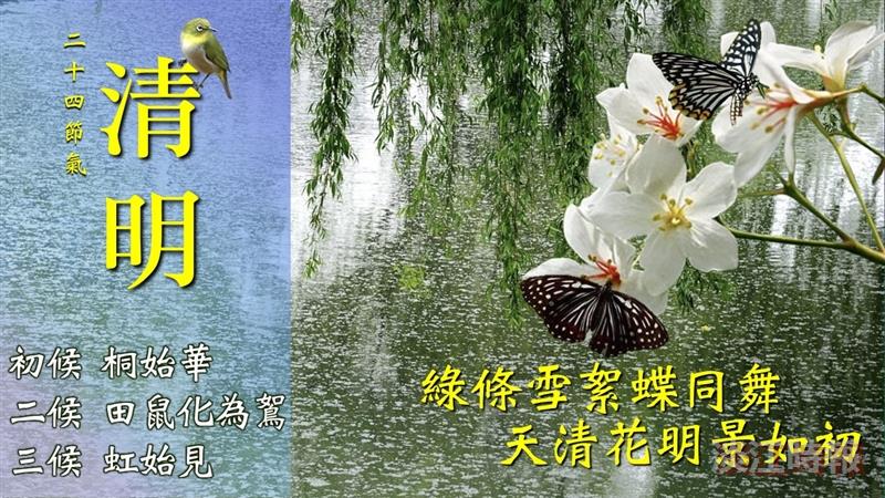 和光同塵天地遊 銜風沐雨自舒卷 賽博陪你慎終追遠浥清明