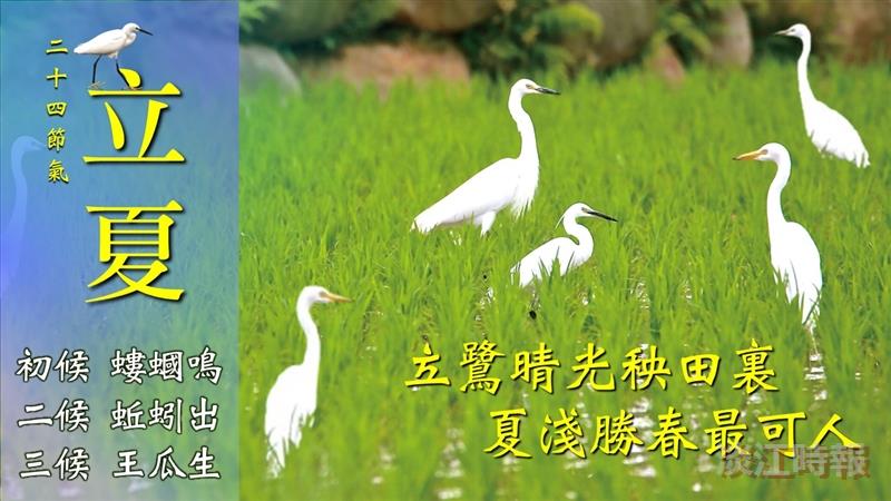 梅津方撒遍 惹紅綠爭妍 賽博頻道帶你信步輕風 攬立夏歡顏