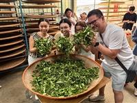 物理系量子半導體檢測假日學校
