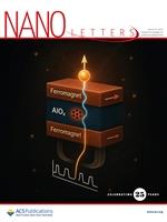 洪振湧引領陳俊諺 學術論文登上《Nano Letters》