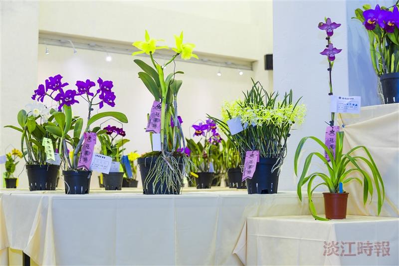 蘭花展「蘭藝慧心」
