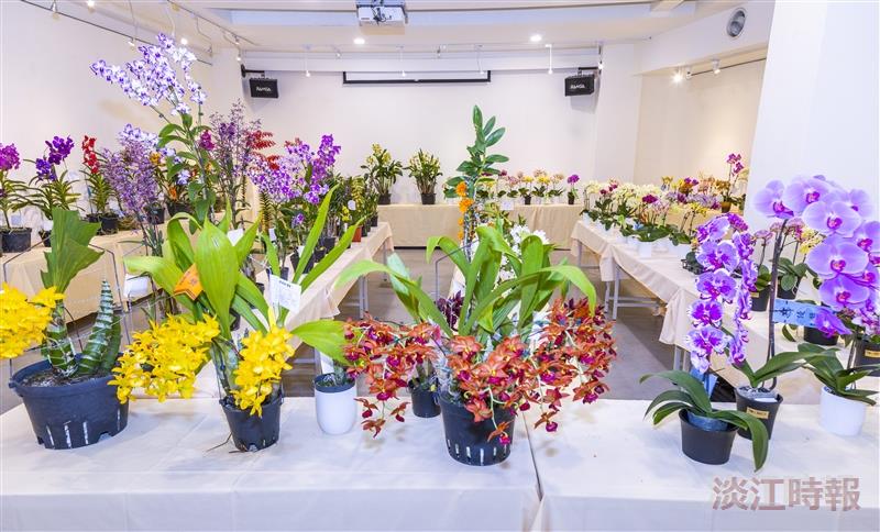蘭花展「蘭藝慧心」