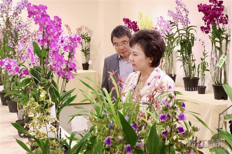 蘭花展「蘭藝慧心」