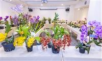 蘭花展「蘭藝慧心」