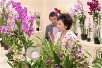 蘭花展「蘭藝慧心」