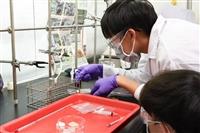 2025淡江大學化學系鍾靈化學創意競賽