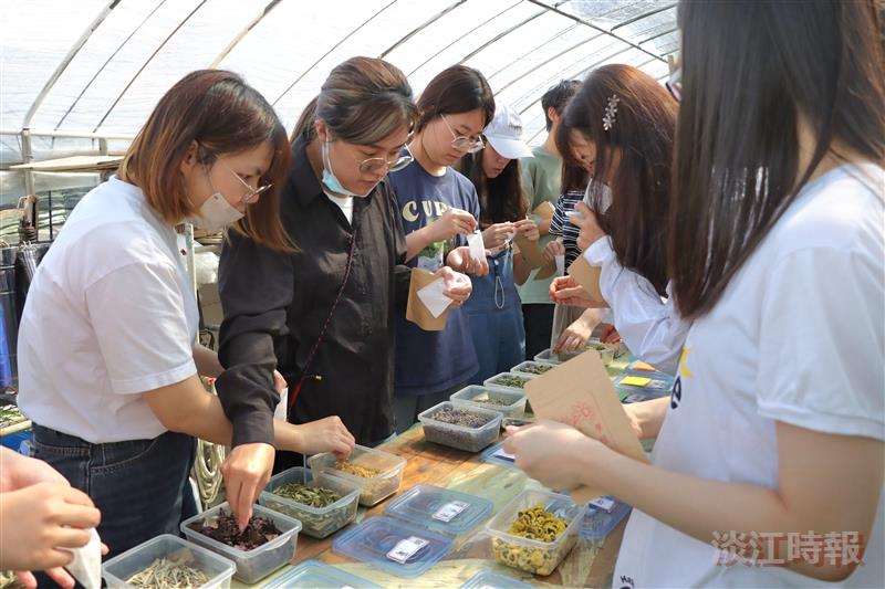 三芝地方創生