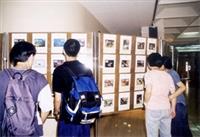 每 張 郵 票 都 搭 配 將 郵 票 上 圖 案 放 大 的 原 圖 卡 ， 更 能 點 綴 出 郵 票 的 美 ， 深 受 集 郵 人 士 的 喜 愛 。 （ 攝 影 \曾 千 榕 ）