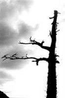 任 何 隅 落 ， … … 這 是 「 臺 北 」 （ 圖 與 文 \韓 兆 容 ）