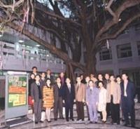 ▼ 平 日 很 難 碰 上 一 面 的 師 長 們 ， 利 用 在 榕 樹 下 喝 咖 啡 的 機 會 ， 留 下 這 個 難 得 的 畫 面 。 （ 攝 影 \馮文星 ）