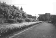 中央廣播電台宿舍側面。