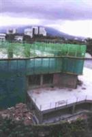 圖�陳竹偉攝