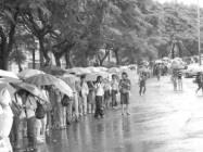 下雨天、排隊天，天呀！長龍尾端今何在？遙望雲深不知處。(圖�邱啟原攝)