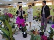 蘭展第一天，行政副校長張家宜（中）就前往賞花，對於眼前這盆入選的嘉德麗雅蘭，特別駐足欣賞。（記者邱啟原攝）