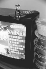電視新聞與泡麵陪我度過每一天