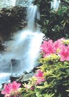 第二名電機博士班陳衍良（如花似水）