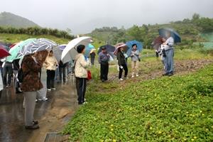 同仁們在風雨中參觀蘭陽校園的道路雛型及各大樓預定建設地，曾振遠主任為大家解說整個校園的建築及工程設計。（記者陳光熹攝影）