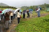 同仁們在風雨中參觀蘭陽校園的道路雛型及各大樓預定建設地，曾振遠主任為大家解說整個校園的建築及工程設計。（記者陳光熹攝影）