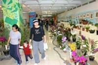 6.蘭花展飄香，大人小孩都愛。