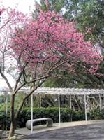 （文�鍾張涵　 攝影�曾儀君）