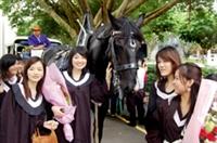 畢業典禮當天，馬術社特地借來一輛馬車，讓畢業生和家長乘坐，沿著書卷廣場做最後的巡禮，也為畢業典禮增添浪漫的氣息。（圖/記者陳振堂）