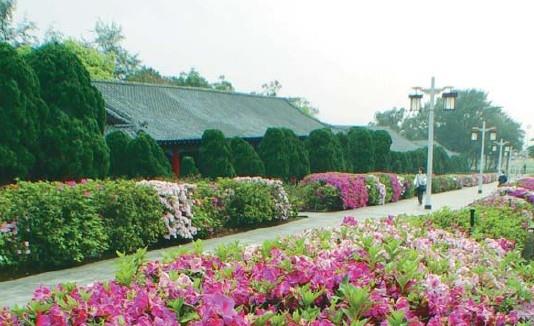 校園超ㄏㄤ景點－－宮燈道