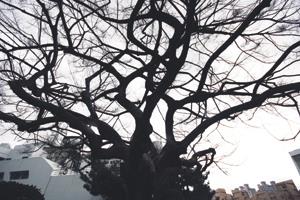 圖�嘉翔