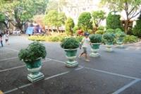 教育館前徒步區新登場