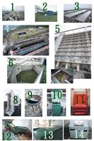 綠建築內容2