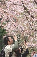 春遊，見識不一樣的淡水--天元宮