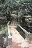 春遊，見識不一樣的淡水--三板橋