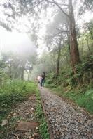 春遊宜蘭篇--太平山遊樂區