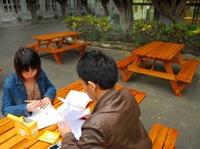 小麥速食部旁增添4張休閒桌椅，讓充滿詩意的文館榕樹道多了一個休憩的好地方，位在文館、體育館和教育館旁，視野空曠採光良好，方便同學能小坐休息或溫習功課。(文�陳維信報導　圖�莊瑋恩攝)
