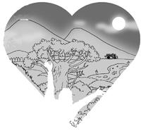 月下五虎崗 新鮮如蜜的空氣 是淡江寶貴的資產