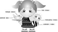 「圖像幫助記憶」示範原住民族稱呼如何記憶。（圖�洪翎凱）