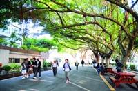 本校在文館、速食部及教育館前廣設桌椅，嚴禁車輛進入，讓同學能怡然自得地散步其中，並悠閒地在林蔭下，與三五好友聊天，享受午後時光。（攝影�洪翎凱）