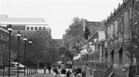 天普大學校景如詩如畫。（圖�陳俊元提供）