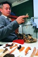 參加中醫社，可學習泡藥酒等養生之道。
