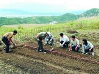蘭陽開心農場，師生種菜休閒又健身。（圖�蘭陽校園提供）