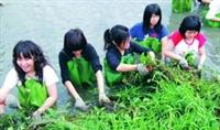 圖�盧耀欽提供