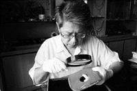 歷史文物研究室（攝影�歷史文物研究室提供）