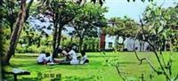 民國60年代學生在綠草如茵的草地上，自在愜意的閱讀。