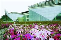 為營造台灣原生種植物生態林園，本校自民國95年起，在蘭陽校園的道路兩旁廣種杜鵑花，花開時節，總是美不勝收。