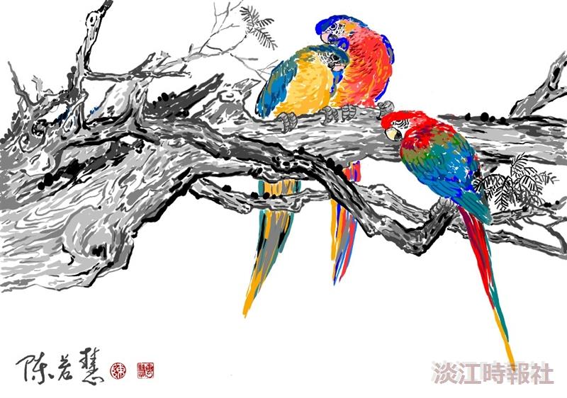 古木鸚鵡